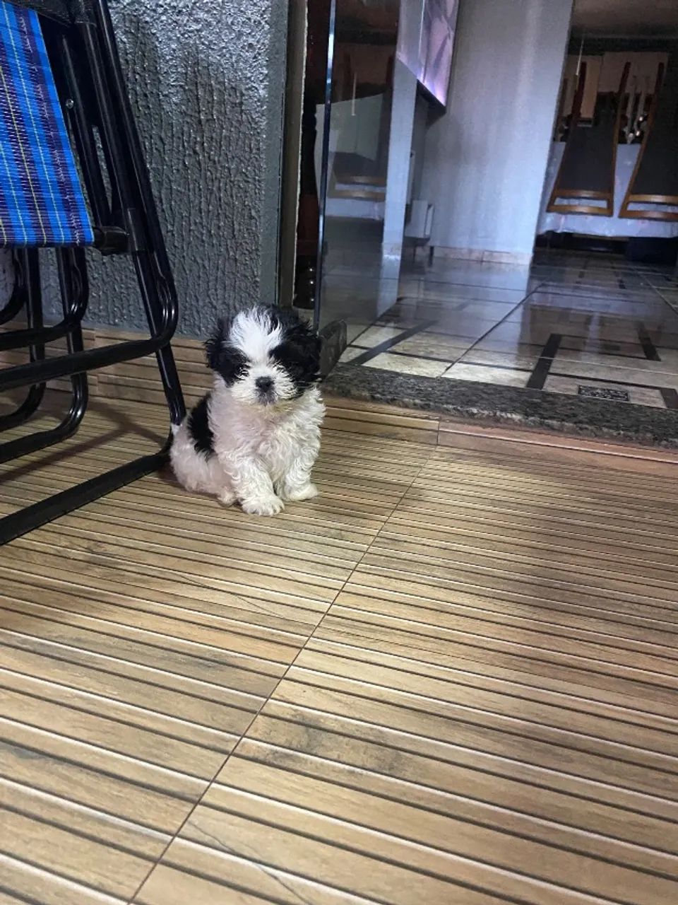 Disponível  - Foto 3
