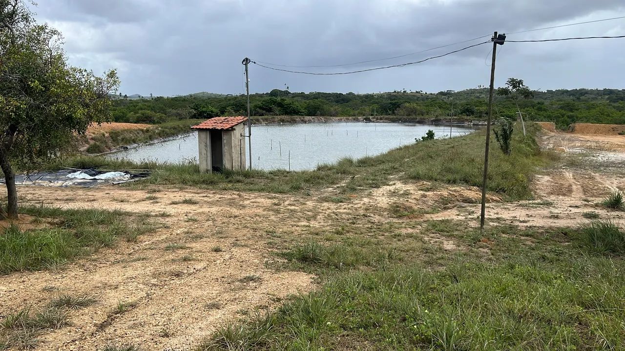 Sítio com viveiro de camarão 