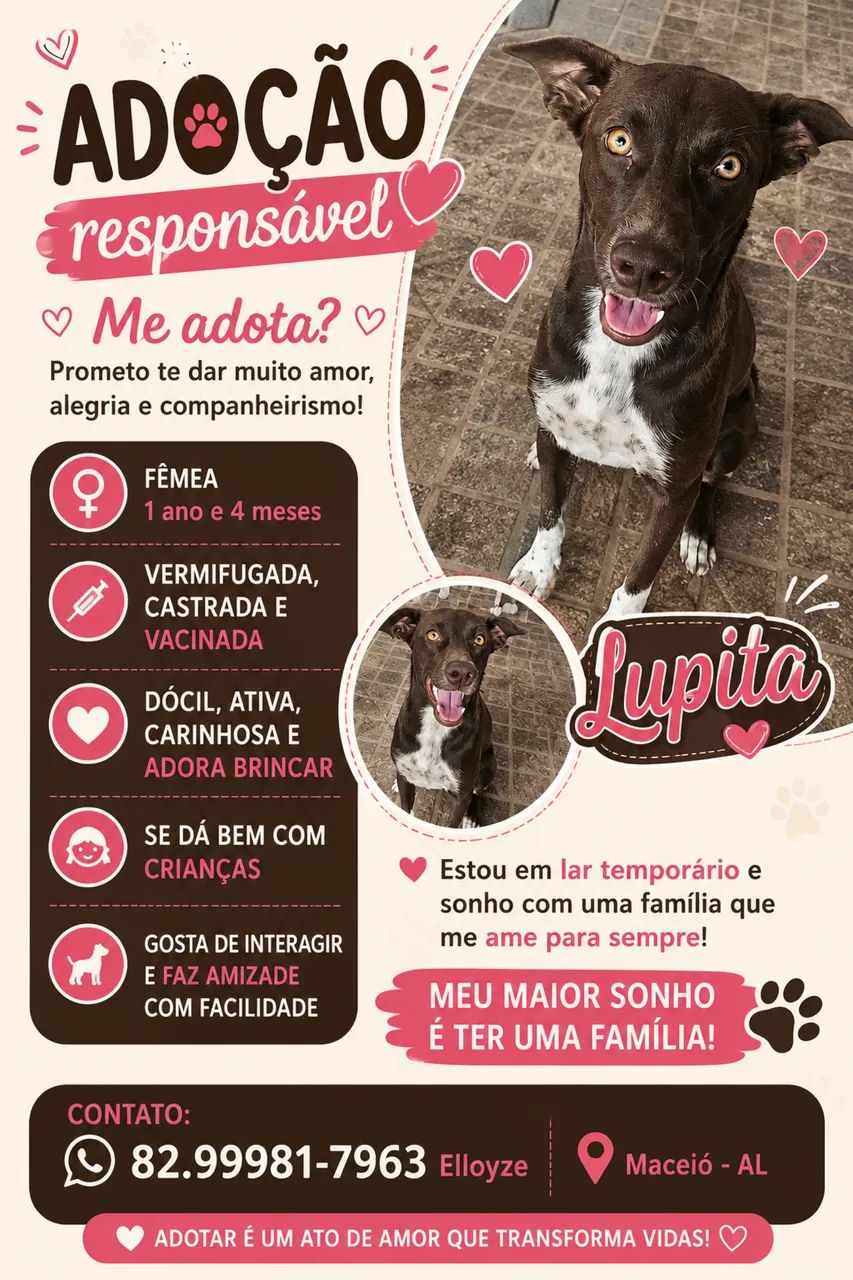 Adoção Responsável 