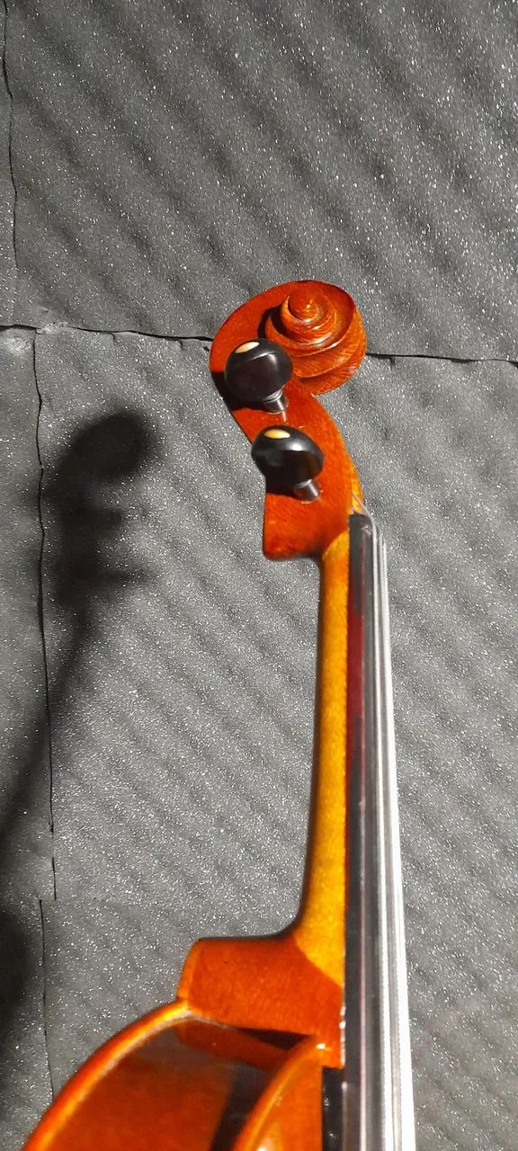 Viola Roma - Foto 4