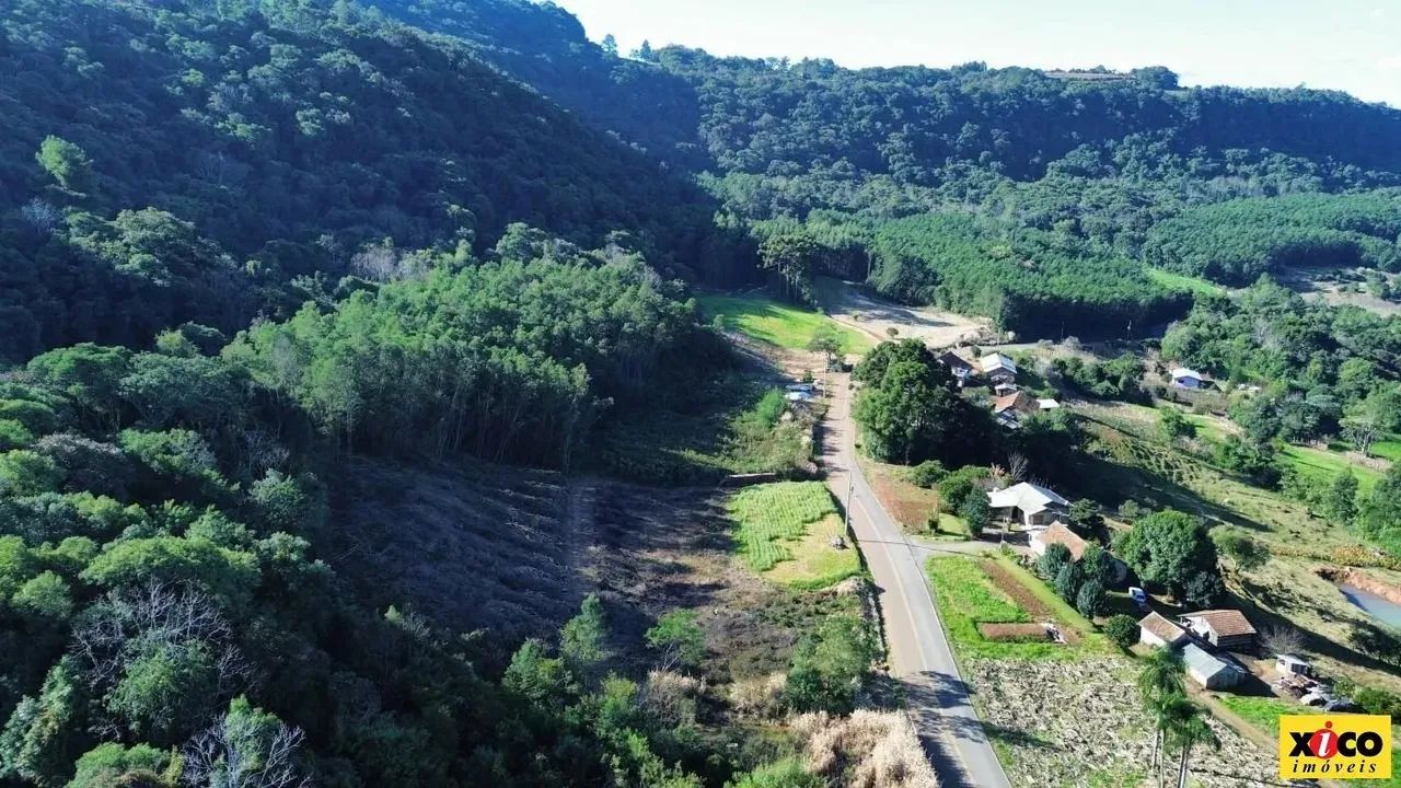 Sítio / Chácara para Venda em Nova Petrópolis, Nove Colonias - Foto 12