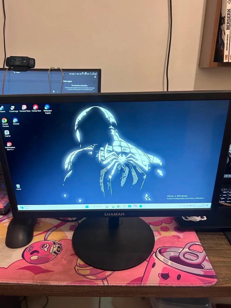 Monitor