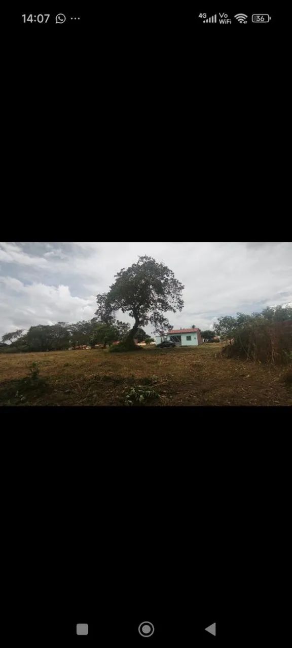 Terreno em gualdrapas-trairi -ce - Foto 3