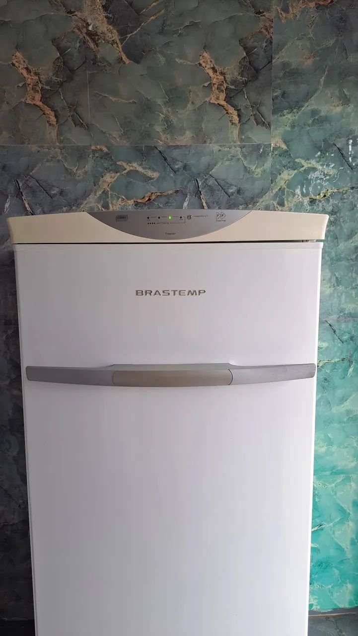 Freezer Vertical 