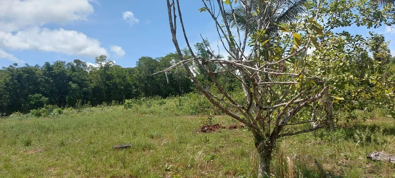 VENDE-SE SITIO - Foto 8