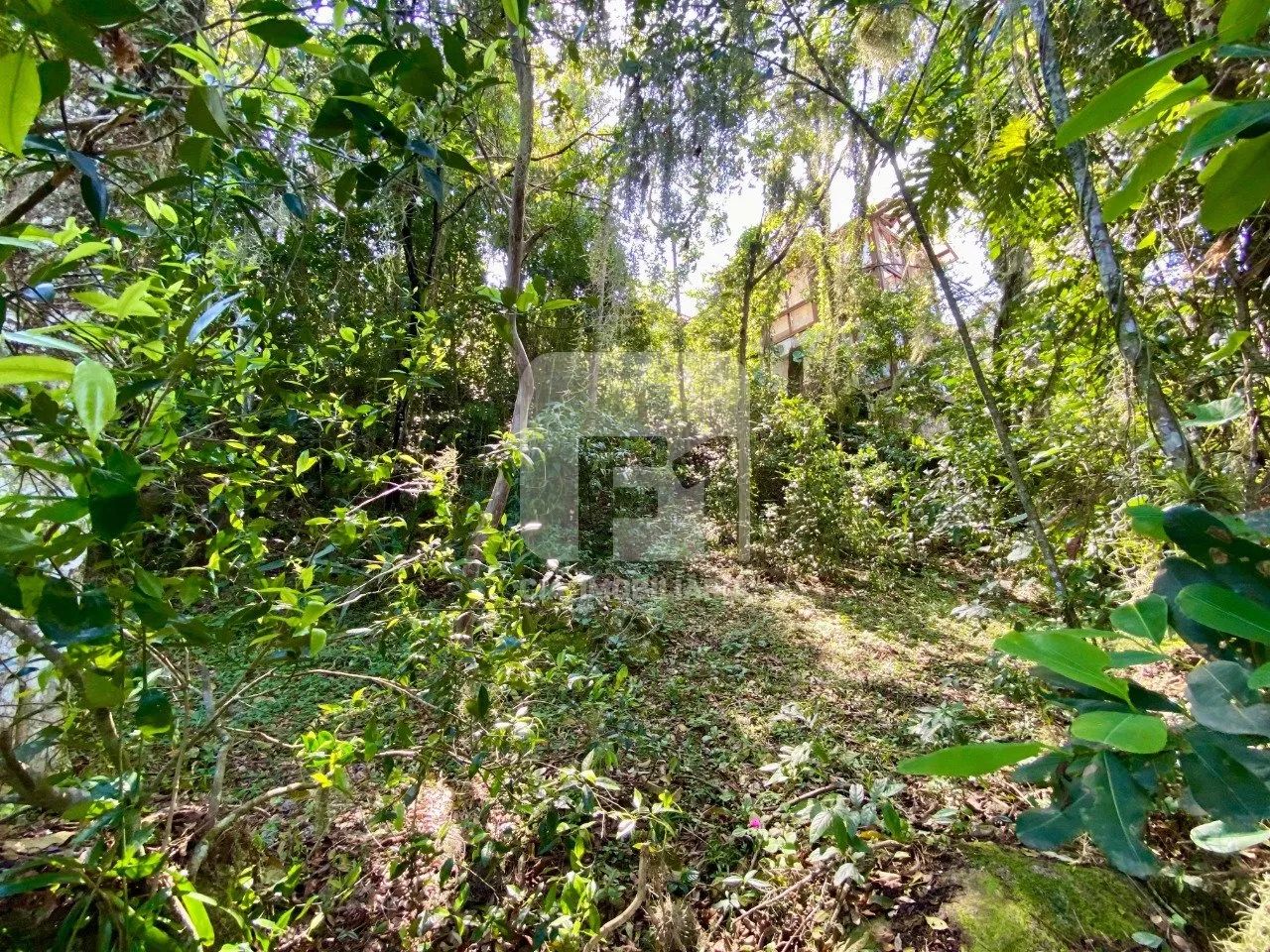 Terreno com acesso à Lagoa da Conceição - Foto 4
