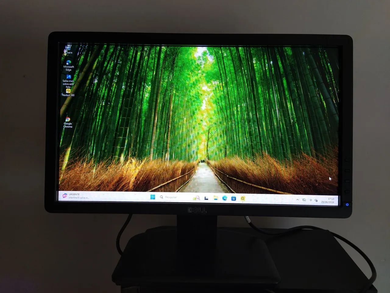 Monitor Lcd 19 Dell E1912hc  (Usado Bom) - Foto 5