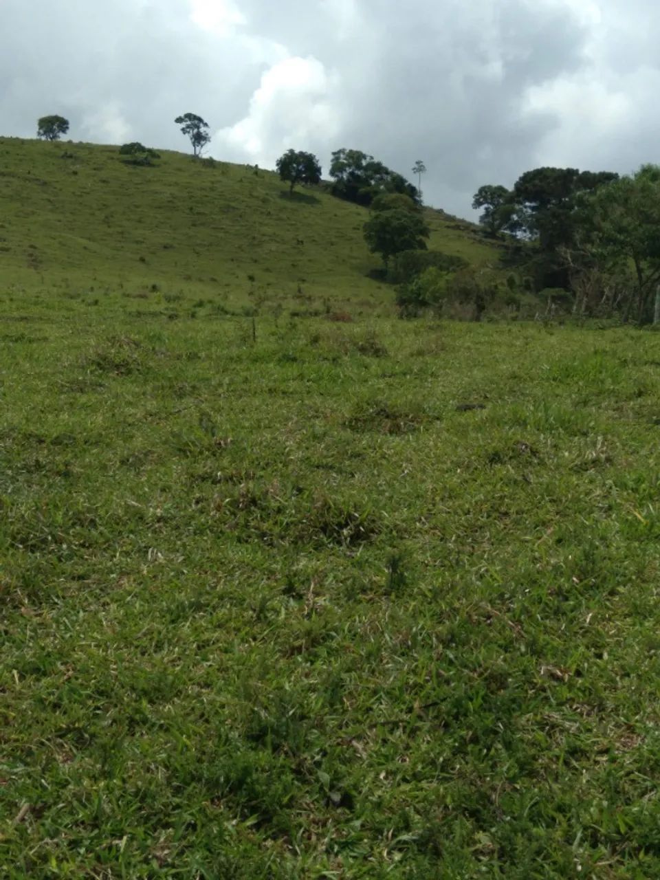 Vende-se terreno em Aiuruoca MG - Foto 2
