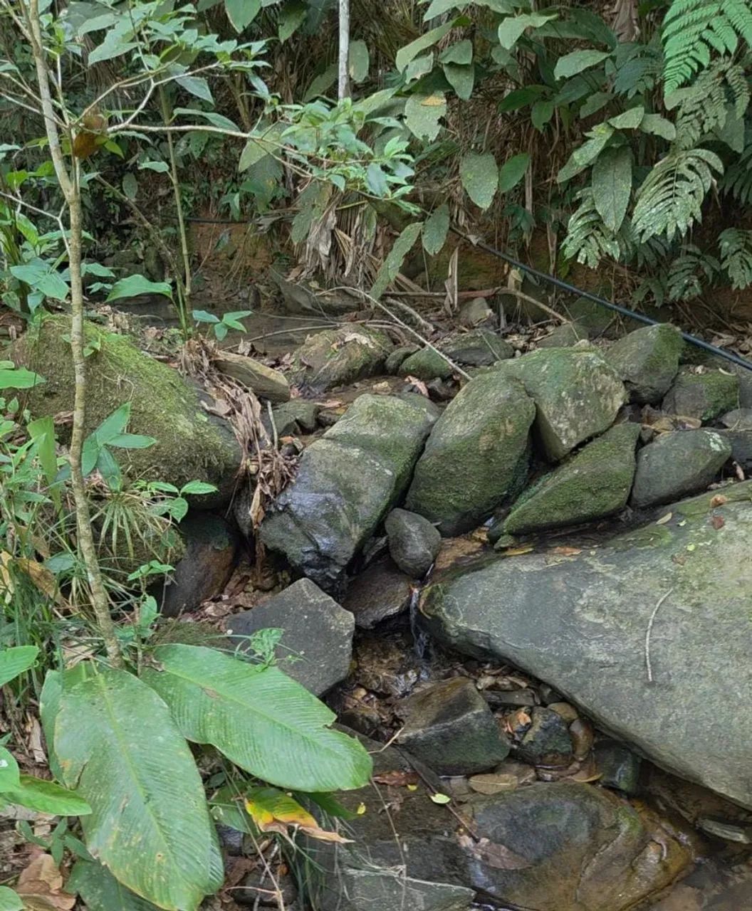 Terreno para sítio com água e energia - Foto 2