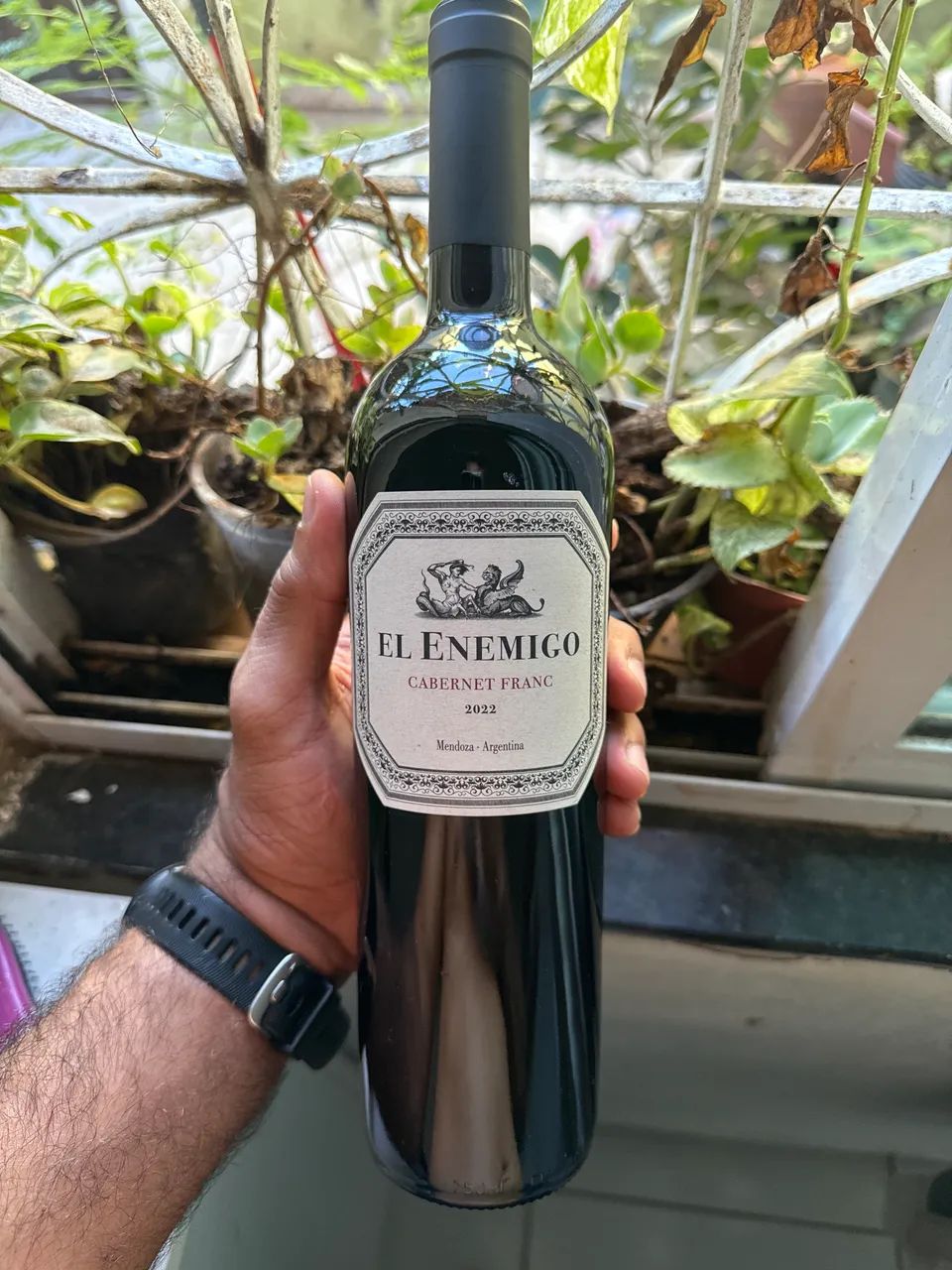 Vinho EL ENEMIGO Cabernet Franc 
