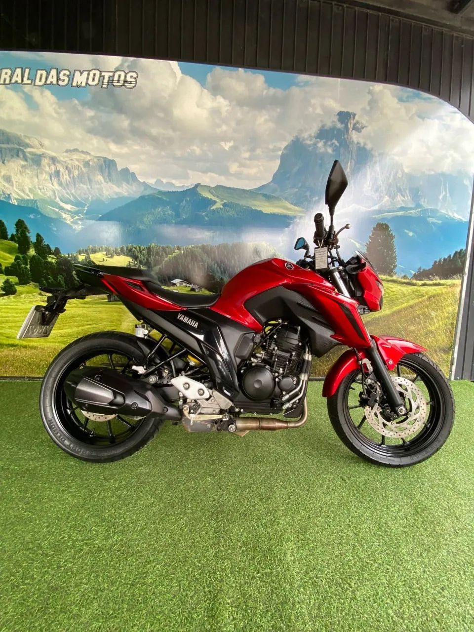 FZ25 FAZER 