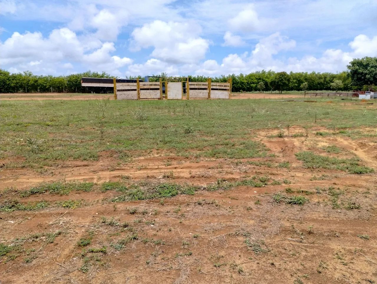 Arena de rodeio, estrutura, grade , curral de ferro  - Foto 2