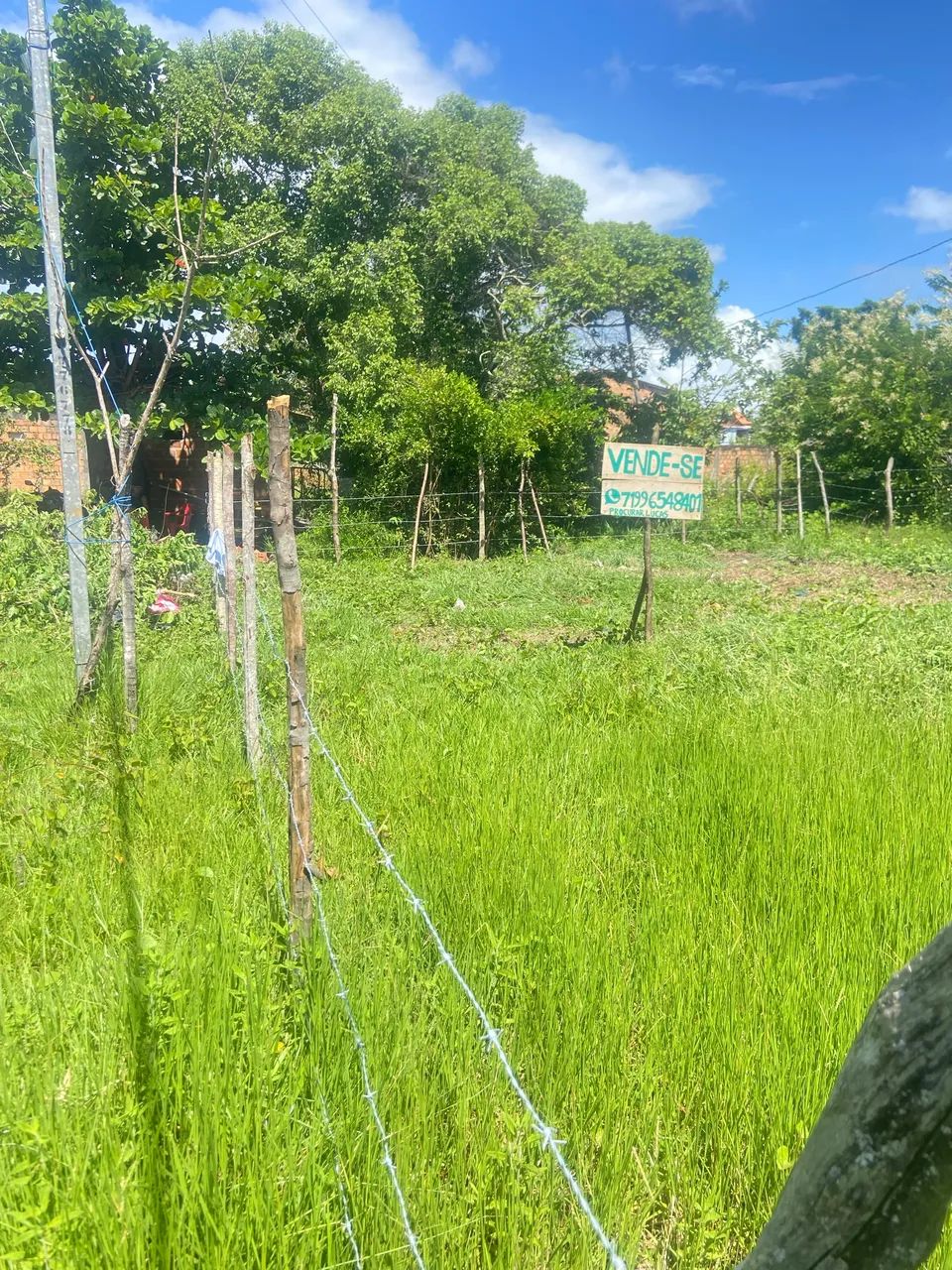 VENDE-SE TERRENO EM SAUBARA  - Foto 5