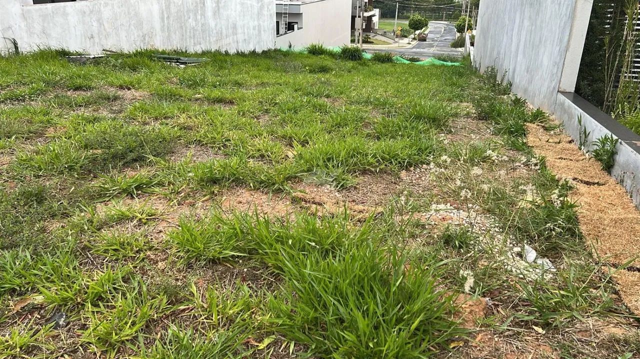 terreno - Swiss Park - Campinas - Foto 4
