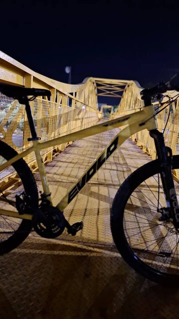 BIKE ARO 29 EVOLO - Foto 2