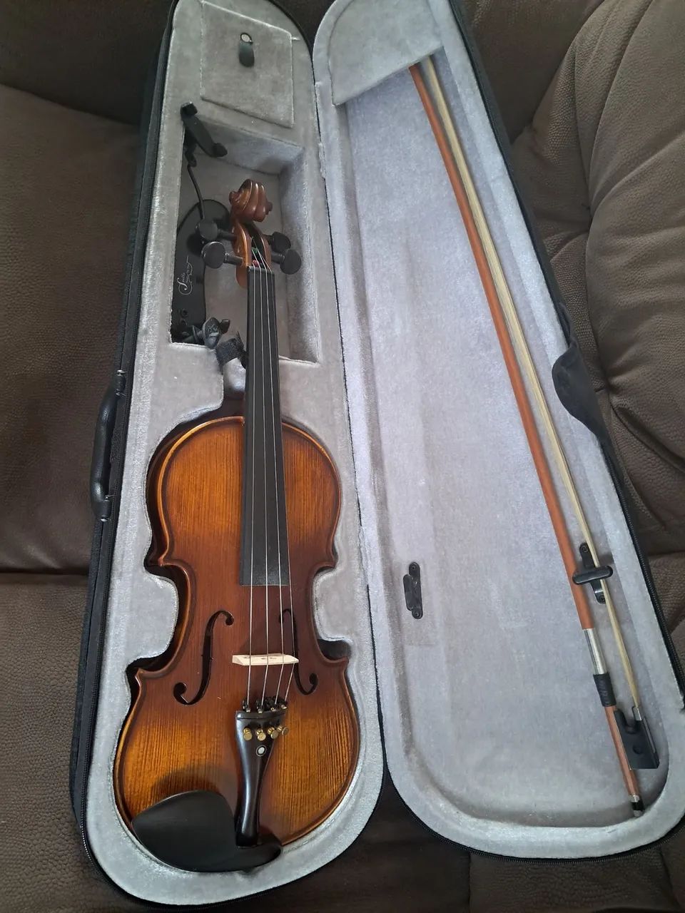 Violino