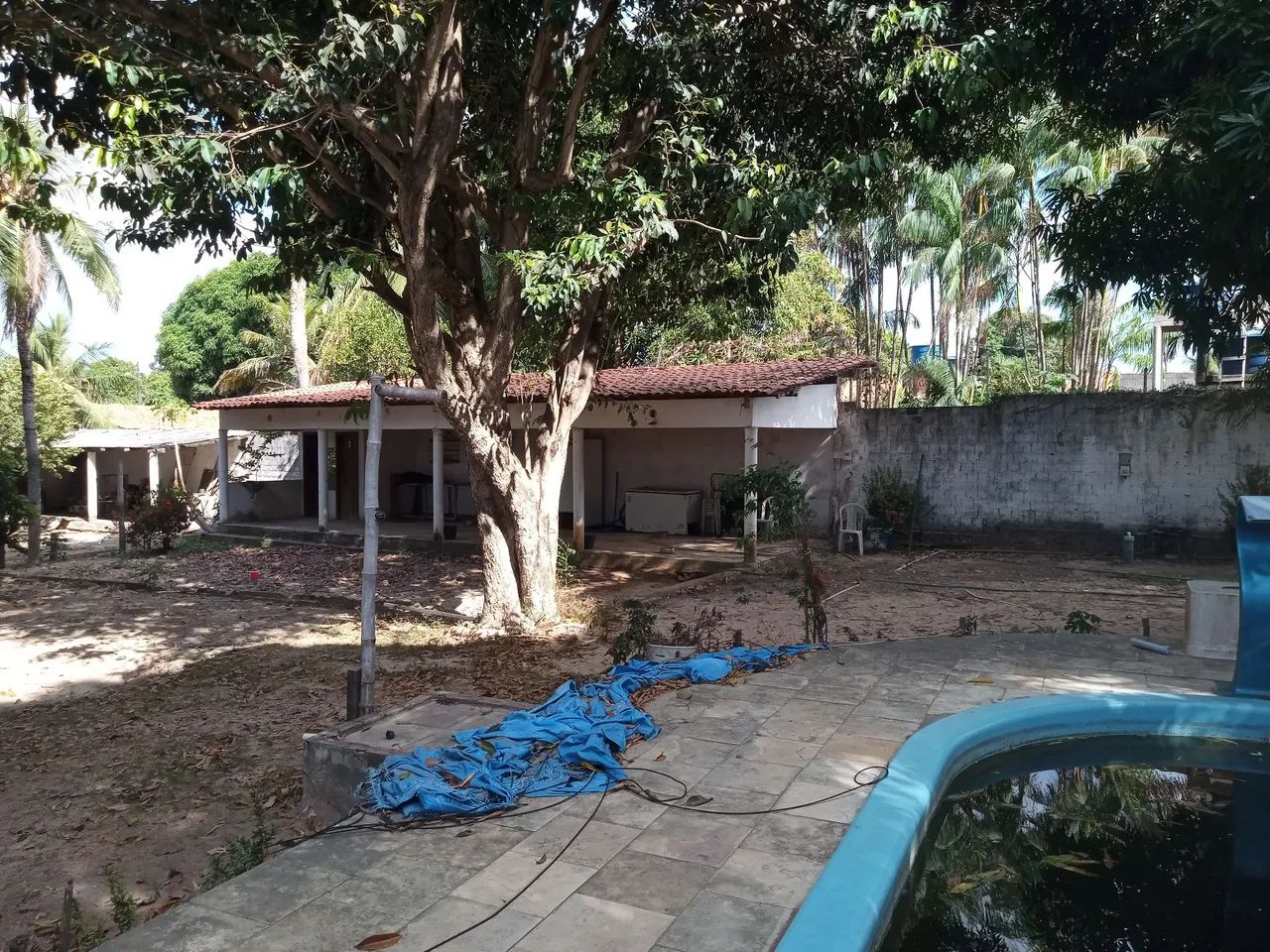 Vendo Sítio na Raposa ótima oportunidade!!! - Foto 5