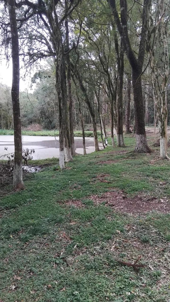 Chácara  dos sonhos em Contenda Pr - Foto 3