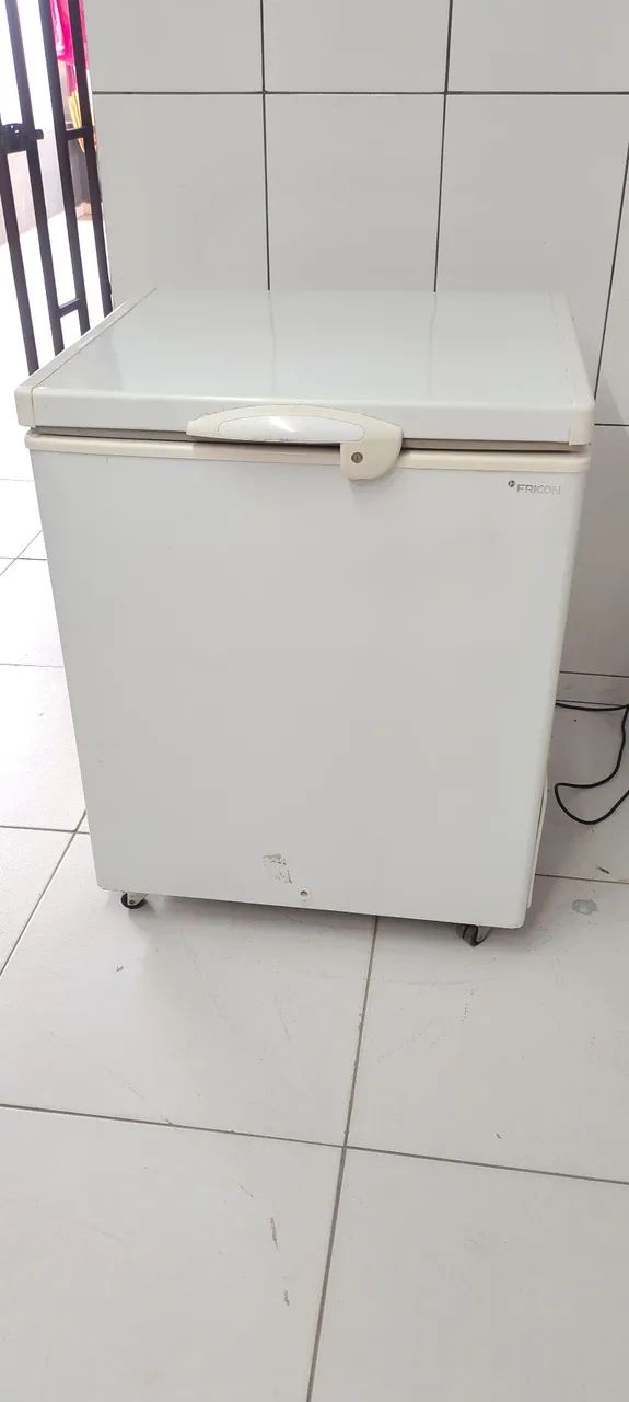  Freezer Fricon 