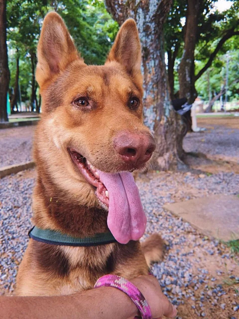 Namorada para o THOR