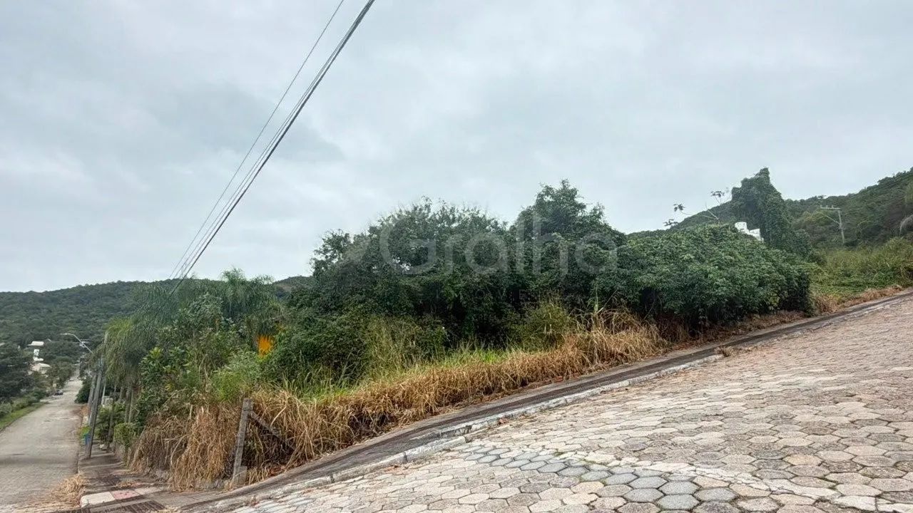 Terreno para Venda em Florianópolis, Praia Brava - Foto 2