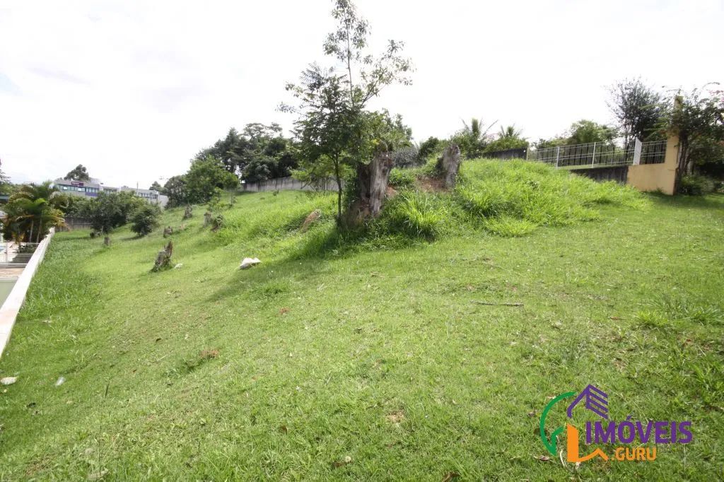 TERRENO - TAMBORÉ - SP - Foto 2