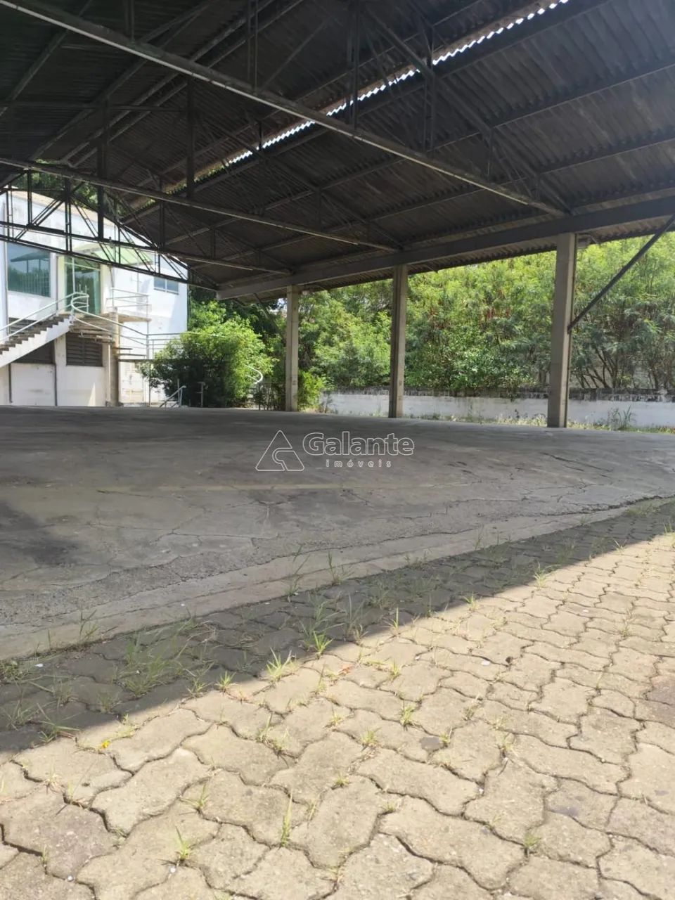 área - Vila Industrial - Campinas - Foto 5