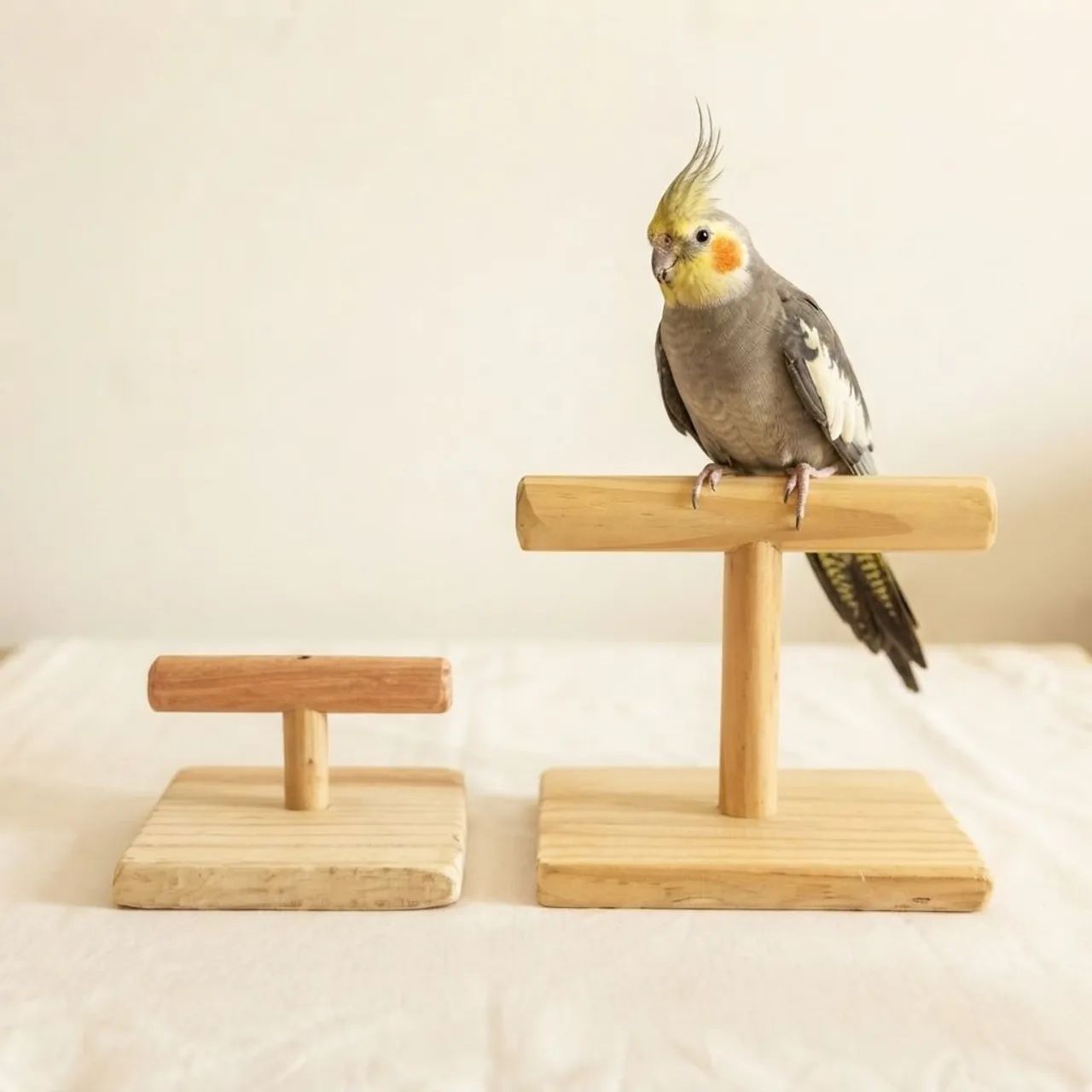 Poleiro para Aves - Foto 2