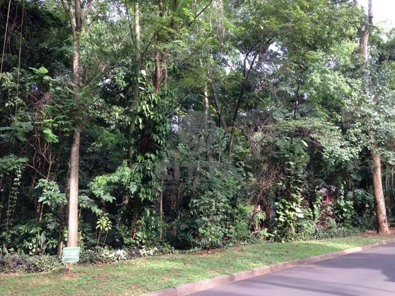 terreno - Parque São Quirino - Campinas - Foto 3