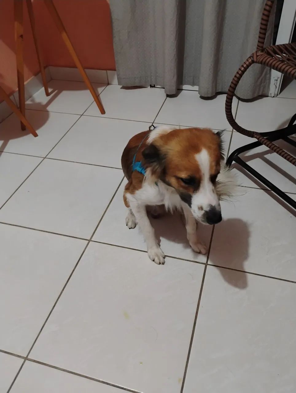 DOAÇÃO  - Foto 2