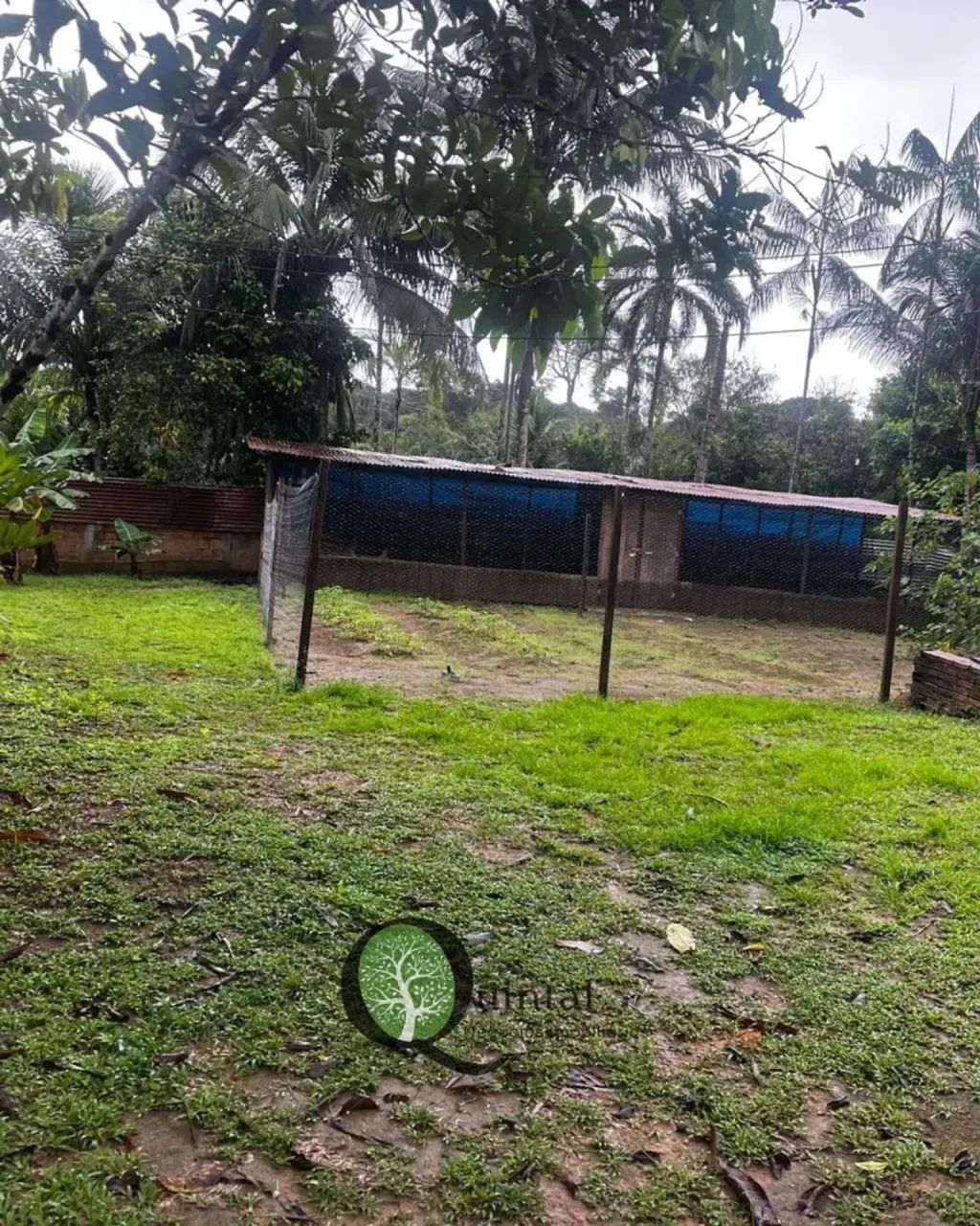SÍTIO À VENDA |  RIO PRETO DA EVA - Foto 3