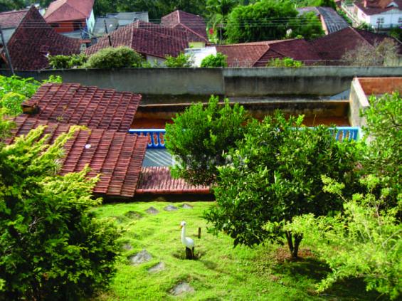 Terreno residencial à venda, Fazendinha, Teresópolis. - Foto 2