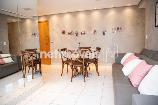 Apartamento à venda com 2 dormitórios em Nova suíssa, Belo horizonte cod:178144