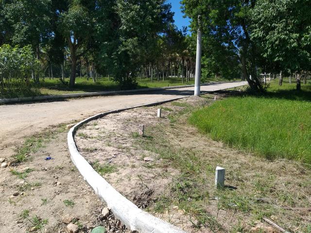 Gg cód 107 Lotes com RGI e Escritura!!!! - Foto 4