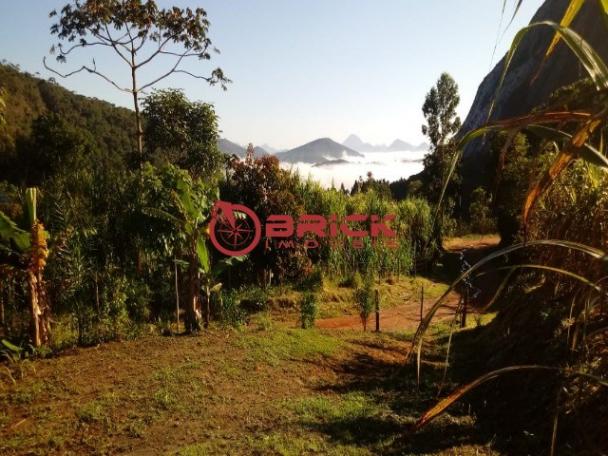 Sítio em teresópolis com cachoeira, nascente, terra para plantação e árvores frutíferas. - Foto 17