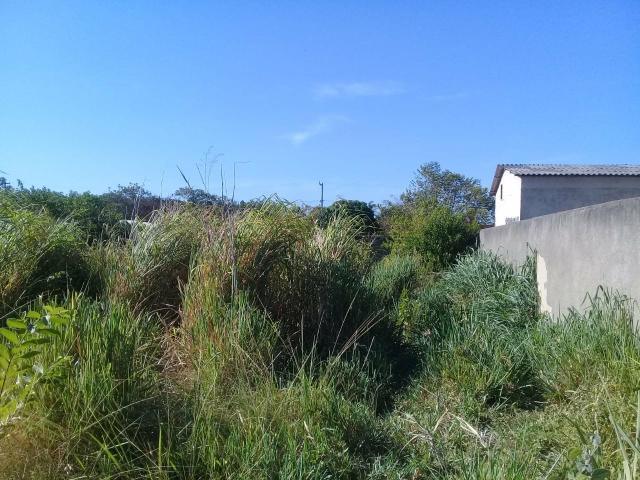 MLCód: 22Ótimo Terreno no Bairro Itatiquara em Araruama/RJ)*;" - Foto 5