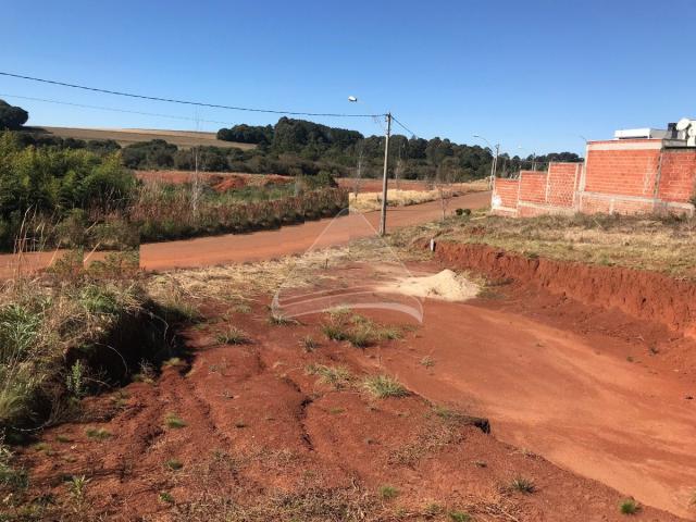 Terreno à venda em Cidade nova, Passo fundo cod:10072 - Foto 16