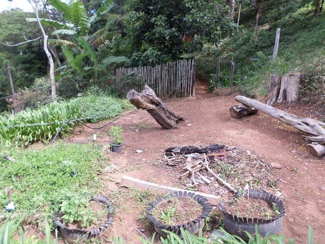 Luu-Sítio em Paty do Alferes - Rio de Janeiro - Foto 5