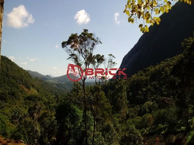 Sítio em teresópolis com cachoeira, nascente, terra para plantação e árvores frutíferas. - Foto 18