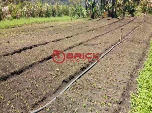 Sítio em teresópolis com cachoeira, nascente, terra para plantação e árvores frutíferas. - Foto 6