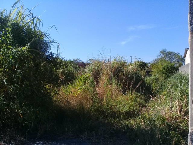 MLCód: 22Ótimo Terreno no Bairro Itatiquara em Araruama/RJ)*;" - Foto 6