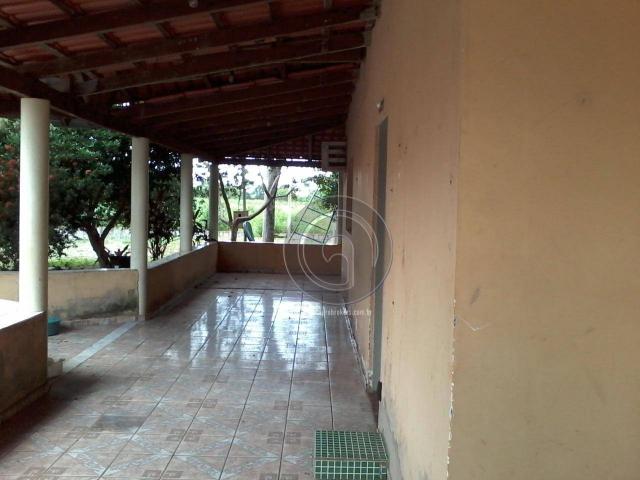 Sitio no cinturão verde - Foto 11