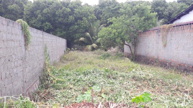 Litoral Norte - Barra de Santo Antônio - Ilha da Croa - Em Rua Pavimentada - Foto 6