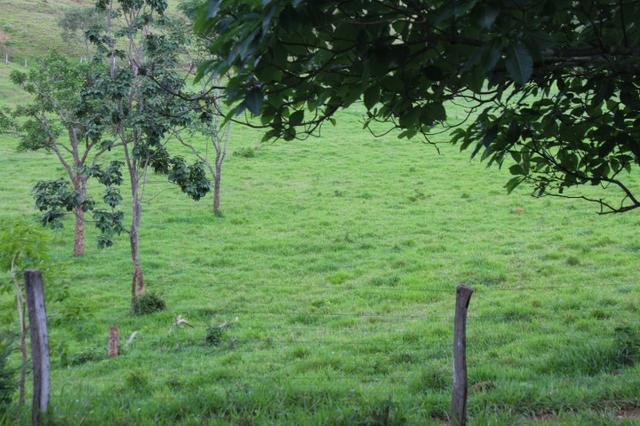 Fazenda Montada 25 Alqueires Cocalzinho"Toda Formada,72 km de Anapolis,129 km Goiania - Foto 15