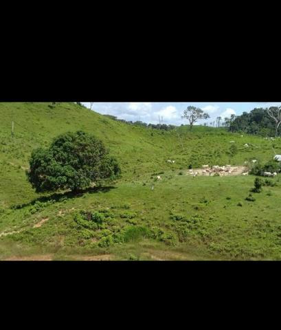 Vende-se fazenda e sítio PARCELADOS - Foto 6