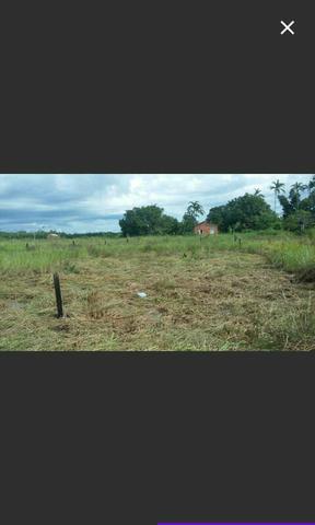 Vendo (apenas venda)