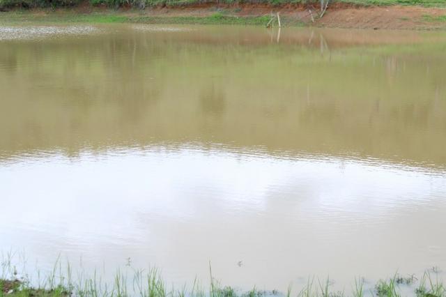 Fazenda Montada 25 Alqueires Cocalzinho"Toda Formada,72 km de Anapolis,129 km Goiania - Foto 4