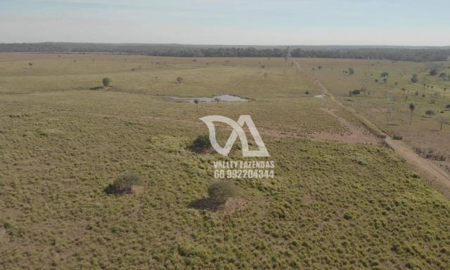 Fazenda à venda, 1134 hectares por R$ 24.000.000,00 - Novo Mundo/MT
