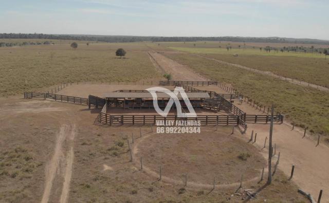 Fazenda à venda, 1134 hectares por R$ 24.000.000,00 - Novo Mundo/MT - Foto 4