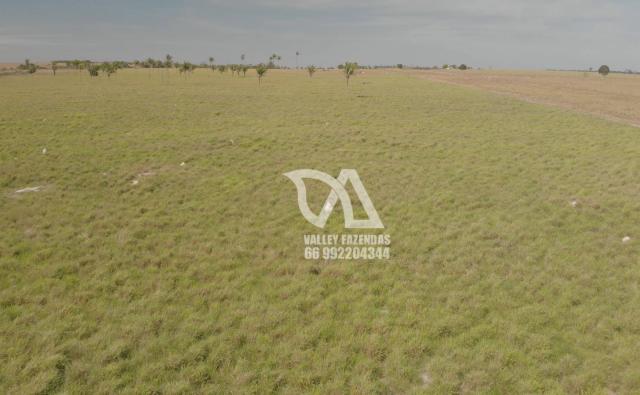 Fazenda à venda, 1134 hectares por R$ 24.000.000,00 - Novo Mundo/MT - Foto 8